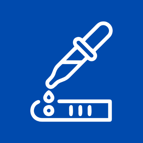 Rapid Test Icon