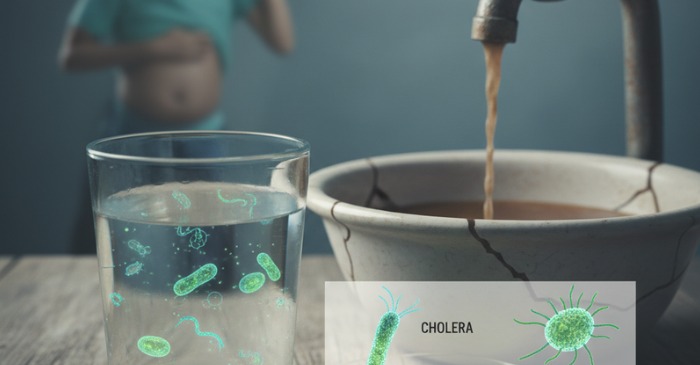 Waterborne Diseases
