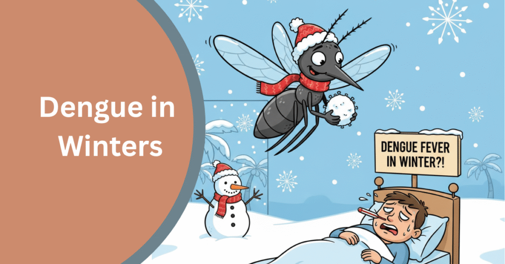 Dengue before winter blog banner