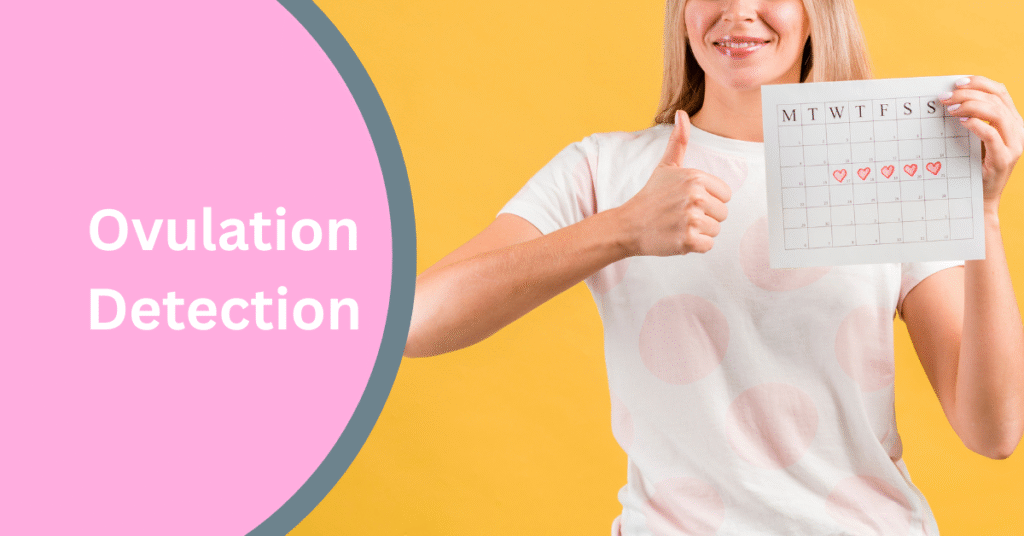 Ovulation Blog Banner image