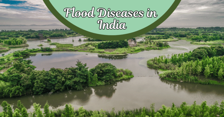 Flood Diseases in India Blog banner