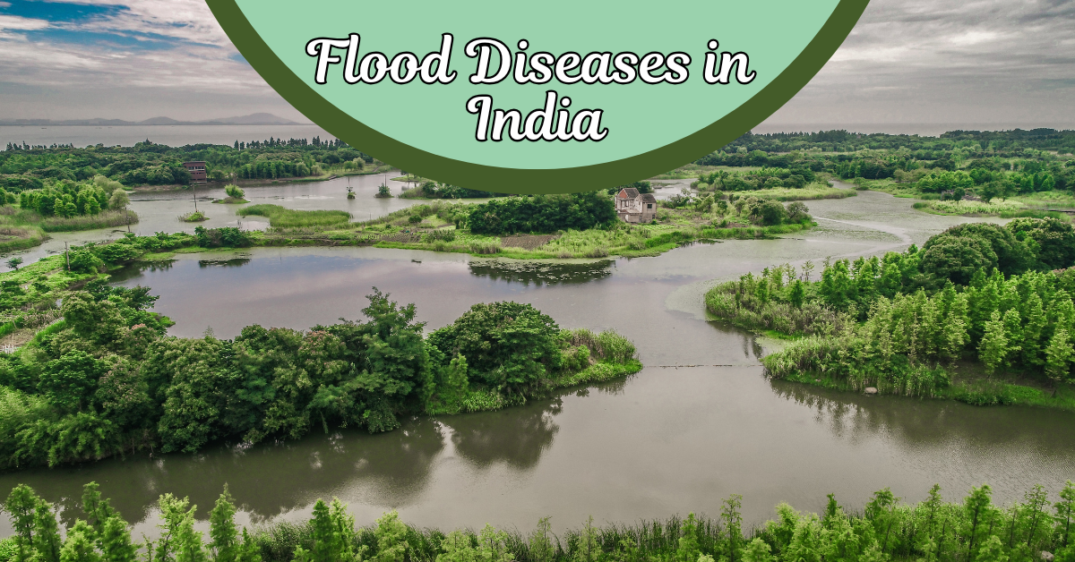 Flood Diseases in India: Rapid Testing Guide