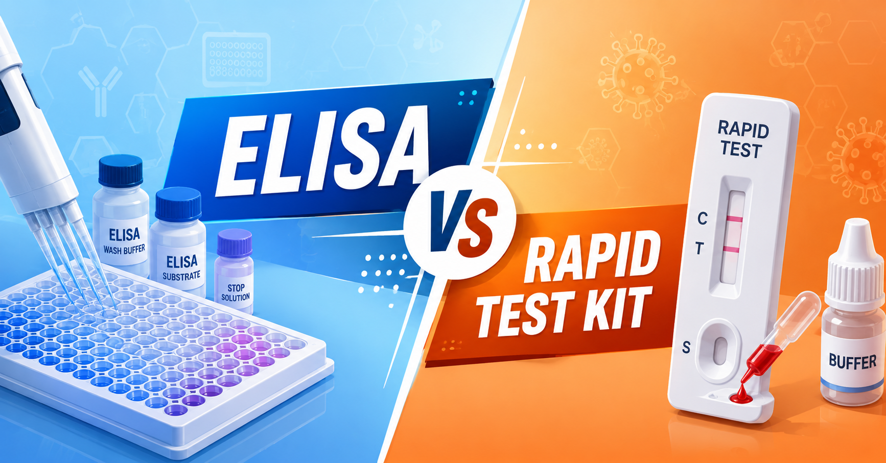 ELISA vs Rapid Test Kits: Which Is Better for Large-Scale Screening?