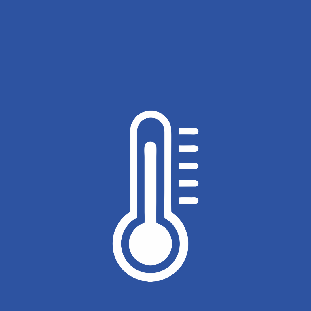 Thermometer Icon